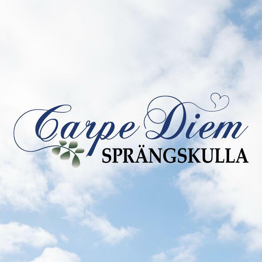 Carpe Diem Spraengskulla Veddige Eksteriør bilde